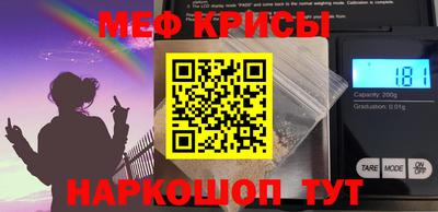 гашик Кингисепп