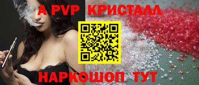 гашик Кингисепп