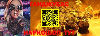 гашик Кингисепп