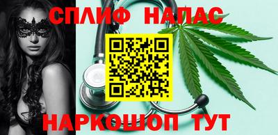 гашик Кингисепп