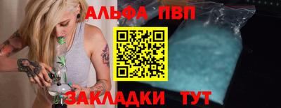 гашик Кингисепп