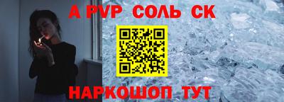 гашик Кингисепп