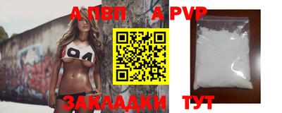 гашик Кингисепп