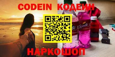 гашик Кингисепп