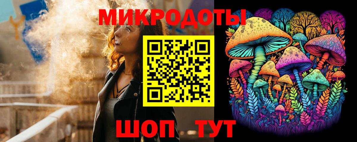 Балтийск  Галлюциногенные грибы Cubensis  Псилоцибиновые грибы Psilocybine cubensis  Вход с VPN 